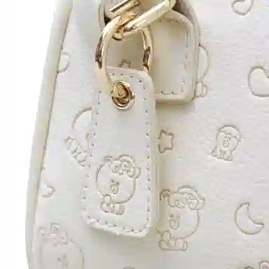LINE FRIENDS PU