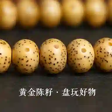 赤藤 新中式国潮复古风文玩手持文玩配饰整套葫芦藏式跑环念佛珠国风时尚简约高级文玩#好运 星月菩提 手串 男款