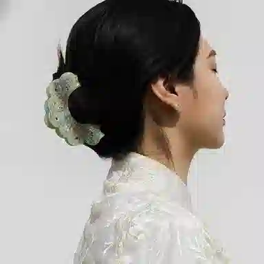 如花梦 文创青丝蟠螭抓夹国风气质搭配汉服 醋酸 发夹 女款