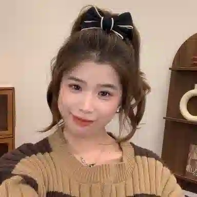 如花梦 甜美蝴蝶结高马尾抓夹氛围感少女心后脑勺扎发日常百搭气质丸子头 布艺 亚克力 发夹 女款