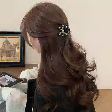 如花梦 在逃公主小香风蝴蝶结刘海法式高级感小号头 亚克力 发夹 女款