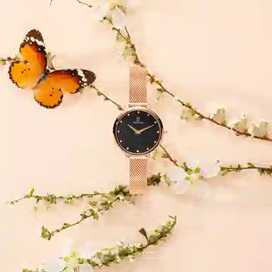 PierreLannier 33 039L938