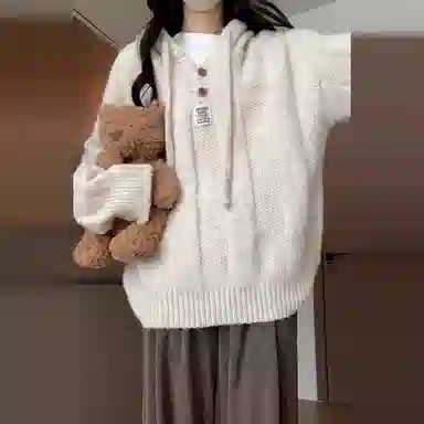 桴生 连帽女秋季慵懒中长韩系衫宽松遮肉外搭上衣针织衫 女款