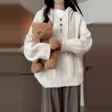 桴生 连帽女秋季慵懒中长韩系衫宽松遮肉外搭上衣针织衫 女款