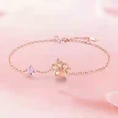 CAREBEARS S925