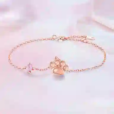 CAREBEARS S925