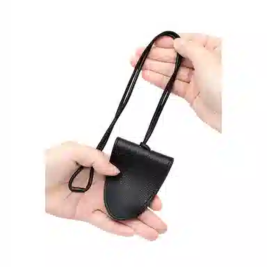 FANJI Goyard Anjou Mini