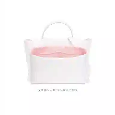 FANJI nano micro 202428