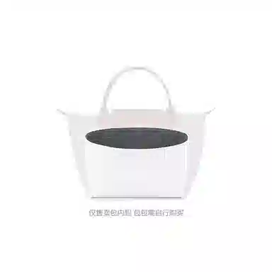 FANJI longchamp