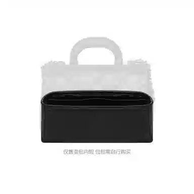 FANJI CHANEL24c