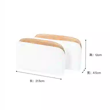 FANJI Lvmini 2025
