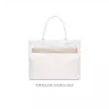 FANJI DIOR BookMini