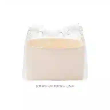 FANJI CHANEL 22Bag