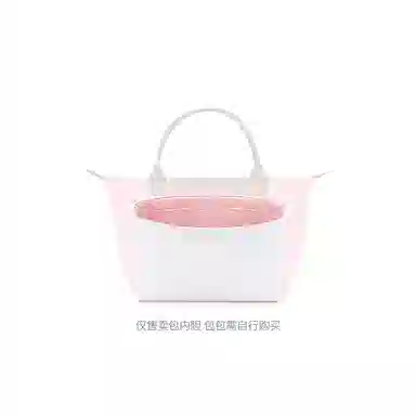 FANJI longchamp