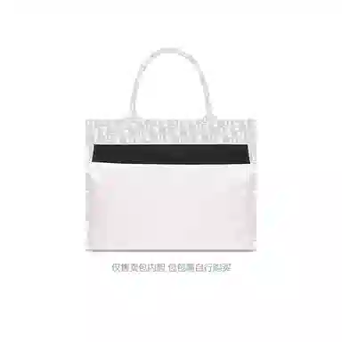 FANJI DIOR BookMini
