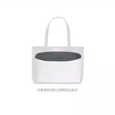 FANJI Moynat Toile tote