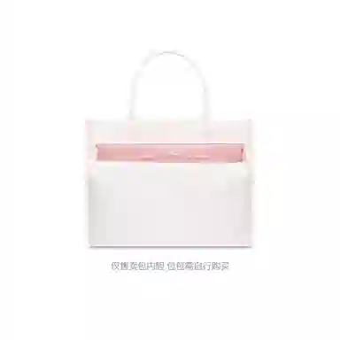 FANJI DIOR BookMini