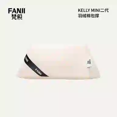 FANJI HERMESKelly Mini