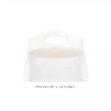 FANJI Chanel24s 31bag nano