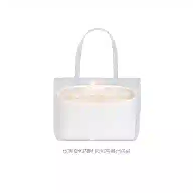 FANJI Moynat Toile tote