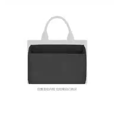 FANJI Coach Cargo 202635