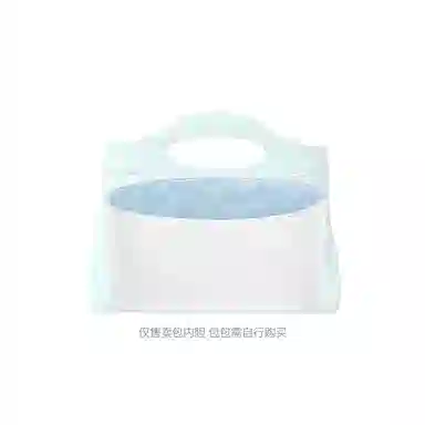 FANJI Chanel24s 31bag nano