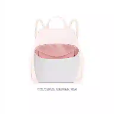 FANJI Lv Backup