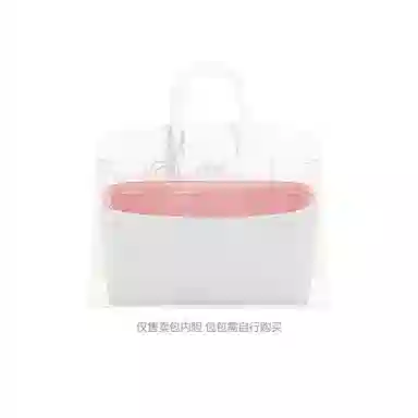 FANJI HermesBirkin 20