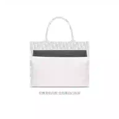 FANJI DIOR BookMini