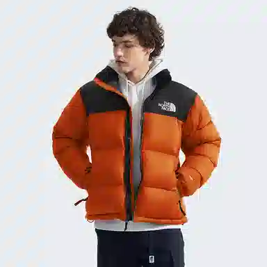 THE NORTH FACE FW24 1996 NUPTSE700