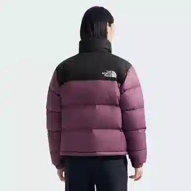 THE NORTH FACE 1996 FW24 logo