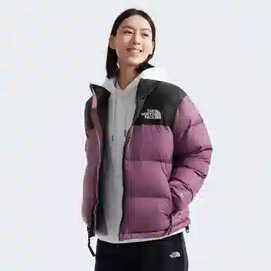 THE NORTH FACE 1996 FW24 logo