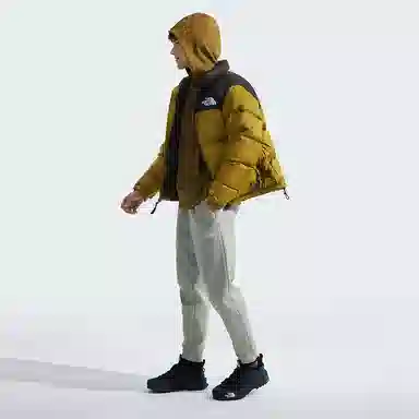THE NORTH FACE FW24 1996 NUPTSE700
