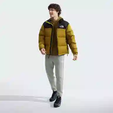 THE NORTH FACE FW24 1996 NUPTSE700