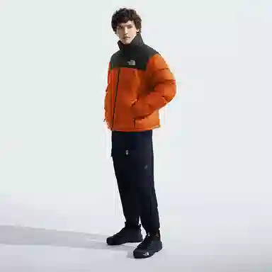 THE NORTH FACE FW24 1996 NUPTSE700