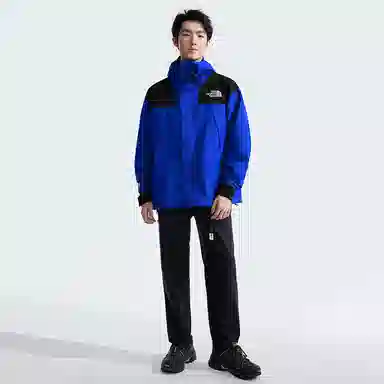 THE NORTH FACE LOGO FW24 ICON