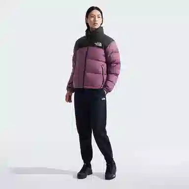 THE NORTH FACE 1996 FW24 logo