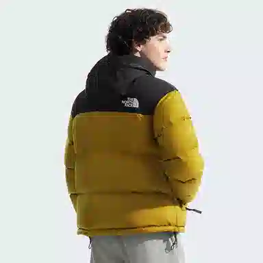 THE NORTH FACE FW24 1996 NUPTSE700