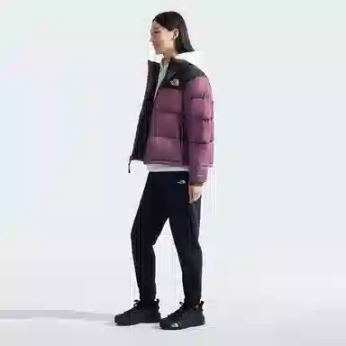 THE NORTH FACE 1996 FW24 logo