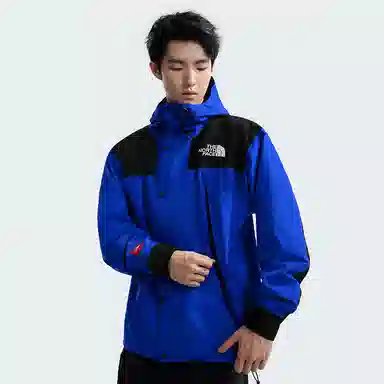 THE NORTH FACE LOGO FW24 ICON