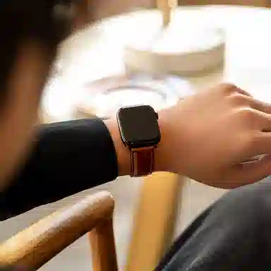 REXINTS AppleWatchS1-S9 Utra 384142444549