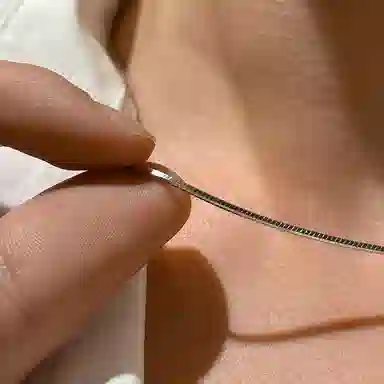 IDEAGEMER Snake Bone Chain Necklace