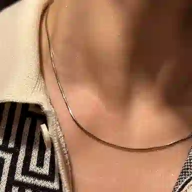 IDEAGEMER Snake Bone Chain Necklace