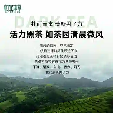 相宜本草 男士氨基酸净油洁面乳洗面奶温和清洁平衡水油