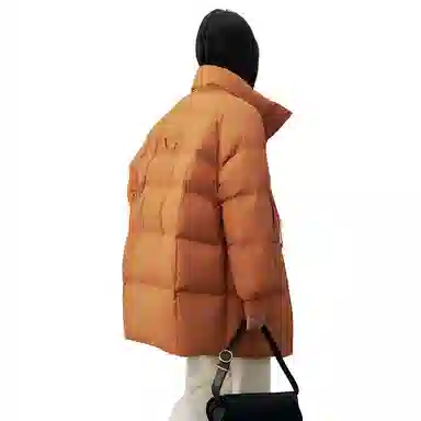 鸭鸭 冬季韩版立领中长款宽松直筒休闲时尚加厚羽绒服 女款