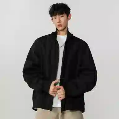 FA2LO bomber