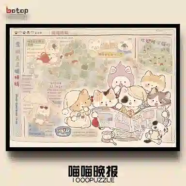 BOTOP fusion 1000PCS 51099