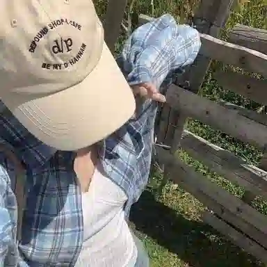 PVPVPV bm