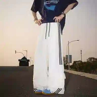 PVPVPV ins
