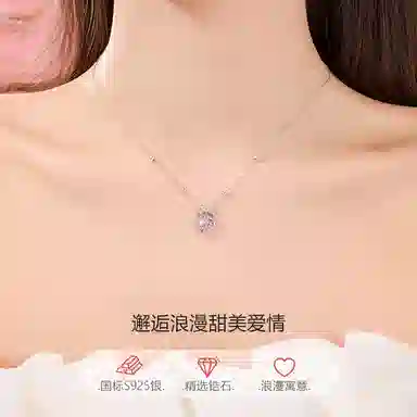 CHEESEFAN S925